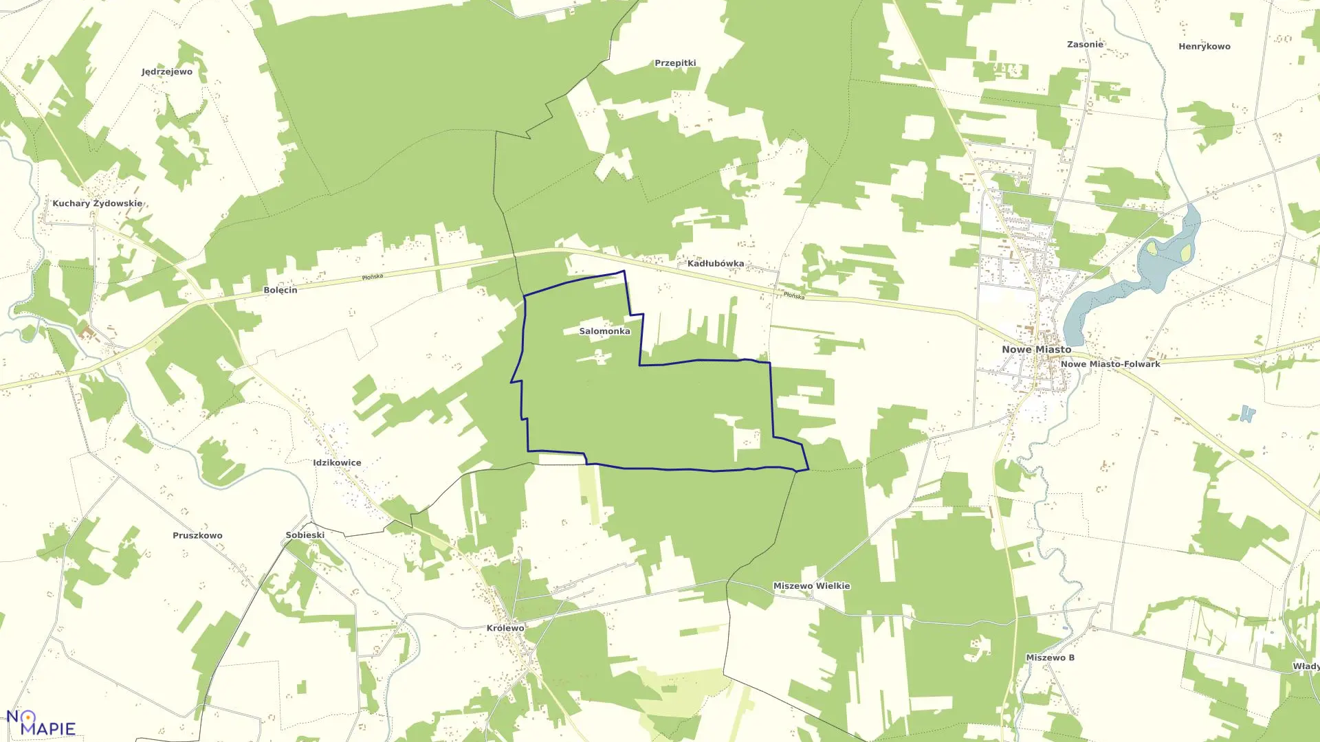 Mapa obrębu SALAMONKA w gminie Nowe Miasto